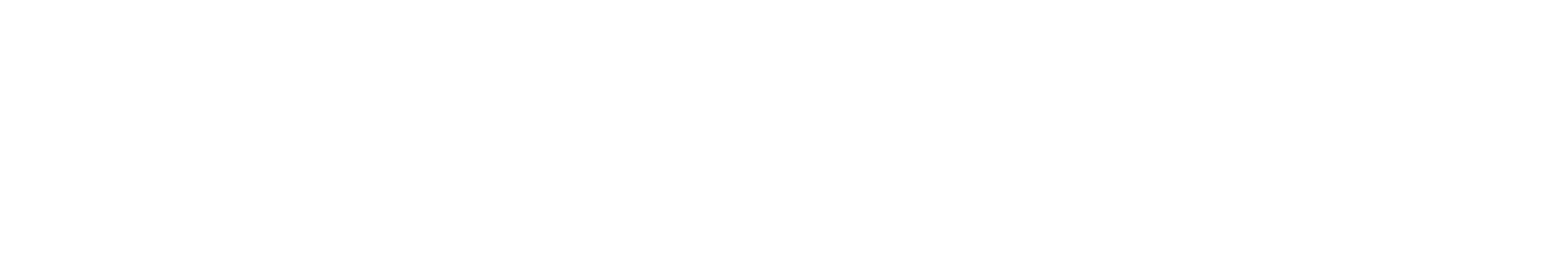 spanga schakt V001 invert